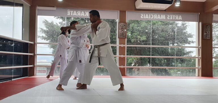 Renbukan Brasil - Aula de karate - Turma Feminina - Sensei Francisco Santiago -