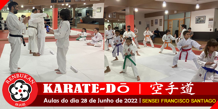 Karate-dō | Aula com Sensei Francisco Santiago