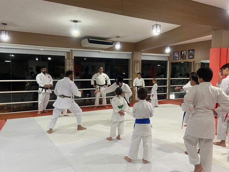 Renbukan Brasil - Escola de Artes Marciais - Cotia - São Paulo - Aula de Karate Shotokan - Sensei Francisco Santiago - Fiorella Bonaguro - Karateca Arthur Duarte