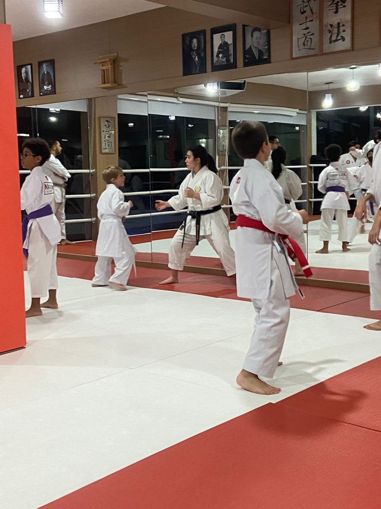 Aula de karate - Renbukan Brasil - Cotia - São Paulo -sensei Francisco Santiago - Sensei Barbara Belafronte - Yago Seto