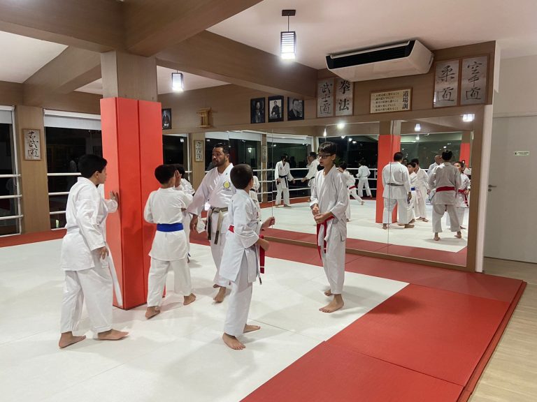 Renbukan Brasil - Escola de Artes Marciais - Cotia - São Paulo - Aula de Karate Shotokan - Sensei Francisco Santiago - vinni Gracci