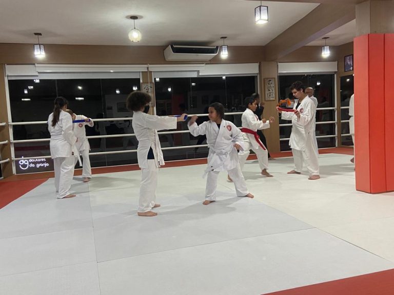 Renbukan Brasil - Escola de Artes Marciais - Cotia - São Paulo - Aula de Karate Shotokan