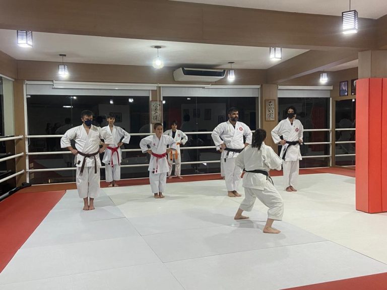 Renbukan Brasil - Escola de Artes Marciais - Cotia - São Paulo - Aula de Karate Shotokan - Sensei Francisco Santiago - Sensei Barbara Belafronte