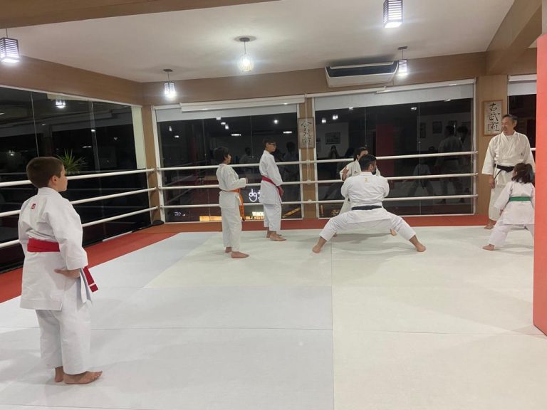 Renbukan Brasil - Escola de Artes Marciais - Cotia - São Paulo - Aula de Karate Shotokan - Sensei Francisco Santiago