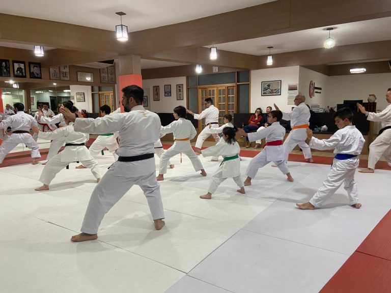 Renbukan Brasil - Escola de Artes Marciais - Cotia - São Paulo - Aula de Karate Shotokan - Sensei Francisco Santiago - Fiorella Bonaguro - Arthur Duarte