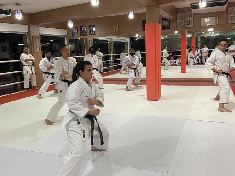 Renbukan Brasil - Escola de Artes Marciais - Cotia - São Paulo - Aula de Karate Shotokan - Sensei Francisco Santiago - Sensei barbara Belafronte -