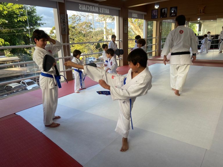 Aula de karate Infantil - Renbukan Brasil - Escola de Artes Marciais japonesas - Cotia - São Paulo - Sensei Roberto Nascimento