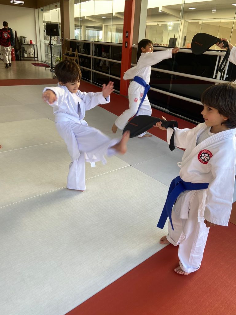 Aula de karate Infantil - Renbukan Brasil - Escola de Artes Marciais japonesas - Cotia - São Paulo - Sensei Roberto Nascimento