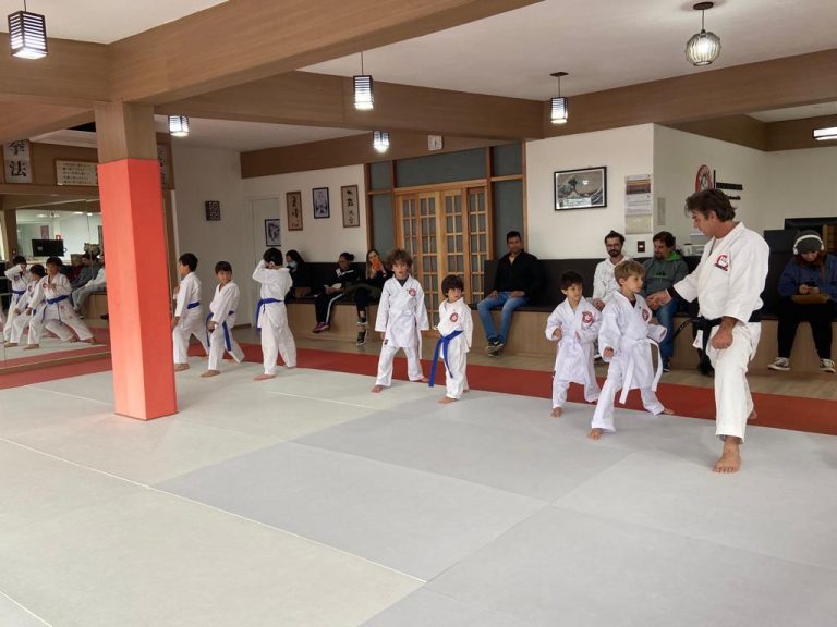 Aula de karate Infantil - Renbukan Brasil - Escola de Artes Marciais japonesas - Cotia - São Paulo - Sensei Roberto Nascimento