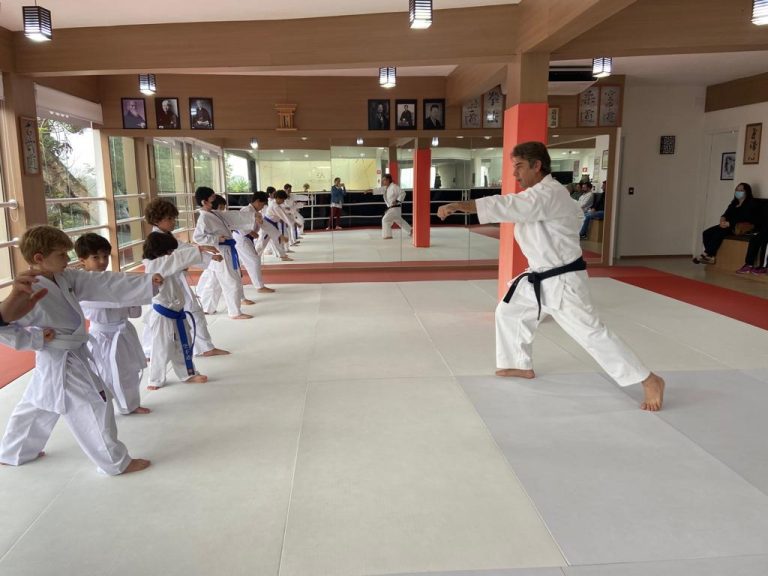 Aula de karate Infantil - Renbukan Brasil - Escola de Artes Marciais japonesas - Cotia - São Paulo - Sensei Roberto Nascimento