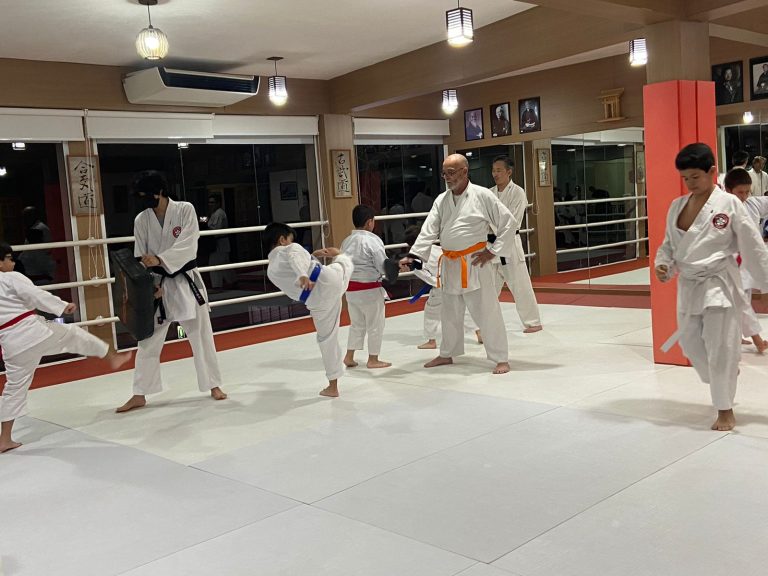 Aula de Karate em Cotia - Renbukan Brasil - Escola de Artes Marciais - Sensei Francisco Santiago