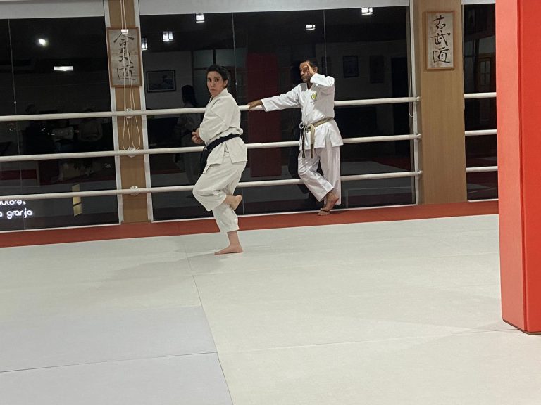 Aula de Karate em Cotia - Renbukan Brasil - Escola de Artes Marciais - Sensei Francisco Santiago - Sensei Barbara Belafronte -