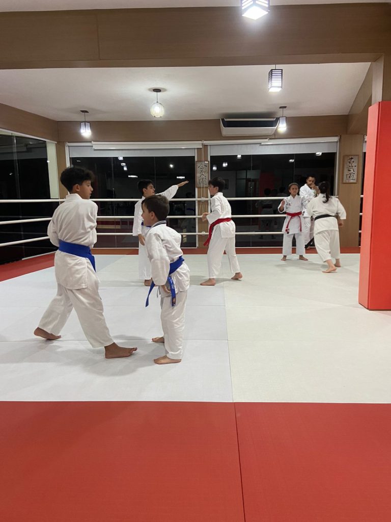 Aula de Karate em Cotia - Renbukan Brasil - Escola de Artes Marciais - Sensei Francisco Santiago - Sensei Barbara Belafronte - Aula de Karate Shotokan Cotia - São Paulo