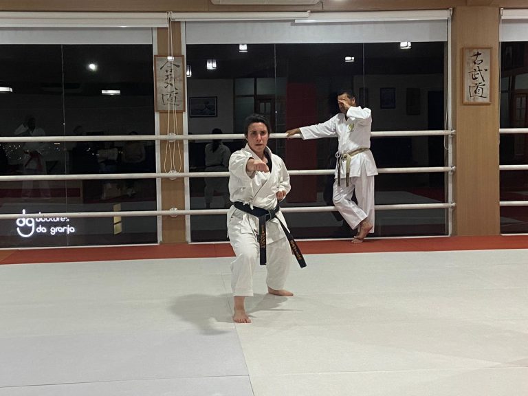 Aula de Karate em Cotia - Renbukan Brasil - Escola de Artes Marciais - Sensei Francisco Santiago - Sensei Barbara Belafronte - Karate - Golpes de Karate -