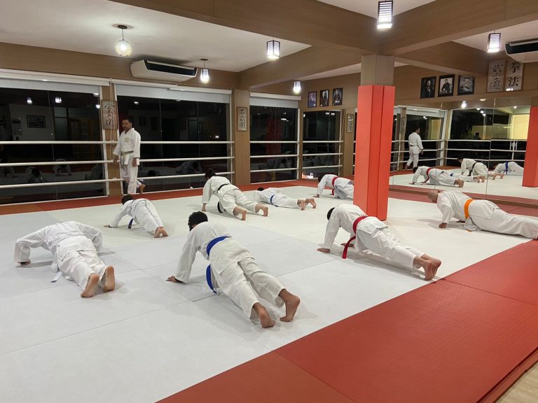 Aula de Karate em Cotia - Renbukan Brasil - Escola de Artes Marciais - Sensei Francisco Santiago - Sensei Chico - Artes Marciais - Aulas de karate em Cotia São Paulo
