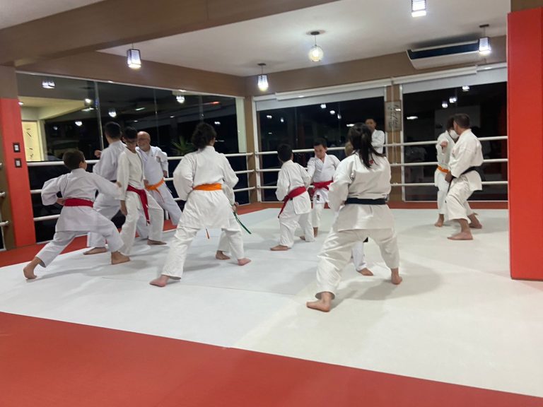 Aula de Karate em Cotia - Renbukan Brasil - Sensei Barbara Belafronte - Vinni Gracci