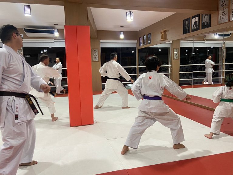 Aula de Karate em Cotia - Renbukan Brasil - Sensei Francisco Santiago - Arthur Duarte - Fiorella Bonaguro