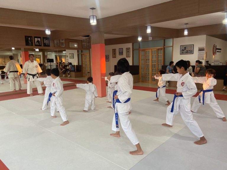 Aula de Karate em Cotia - Renbukan Brasil - Sensei Roberto Nascimento - Karate Shotokan - Karate Infantil -