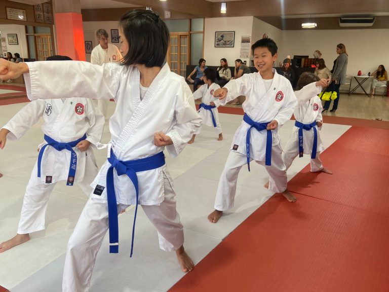 Aula de Karate em Cotia - Renbukan Brasil - Sensei Roberto Nascimento - Karate Shotokan - Karate Infantil - (11)