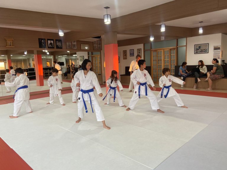 Aula de Karate em Cotia - Renbukan Brasil - Sensei Roberto Nascimento - Karate Shotokan - Karate Infantil - (13)