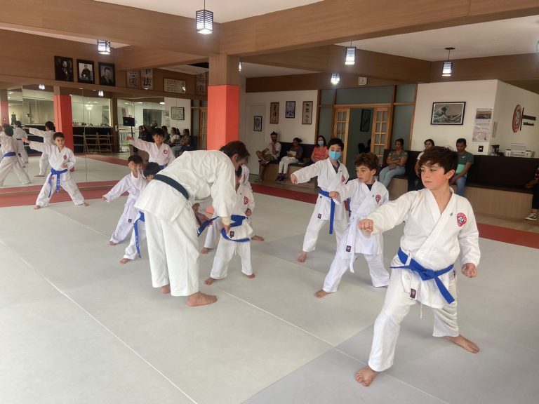 Aula de Karate em Cotia - Renbukan Brasil - Sensei Roberto Nascimento - Karate Shotokan - Karate Infantil - (4)