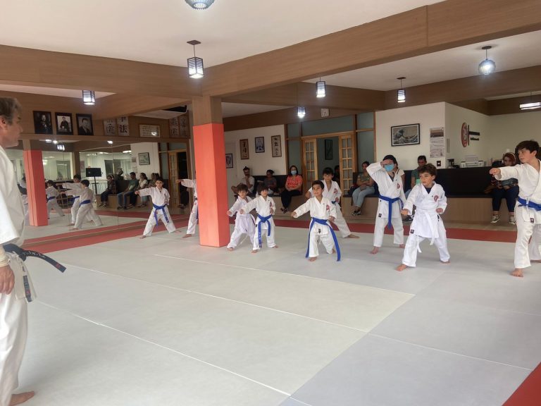 Aula de Karate em Cotia - Renbukan Brasil - Sensei Roberto Nascimento - Karate Shotokan - Karate Infantil - (5)