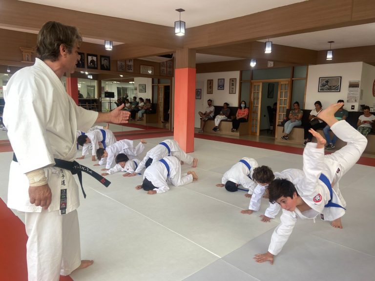 Aula de Karate em Cotia - Renbukan Brasil - Sensei Roberto Nascimento - Karate Shotokan - Karate Infantil - (6)
