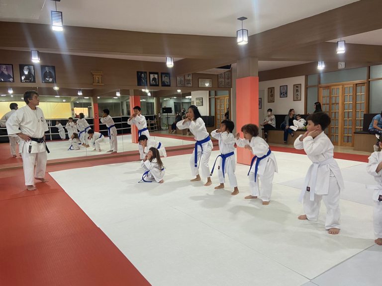 Aula de Karate em Cotia - Renbukan Brasil - Sensei Roberto Nascimento - Karate Shotokan - Karate Infantil - (8)