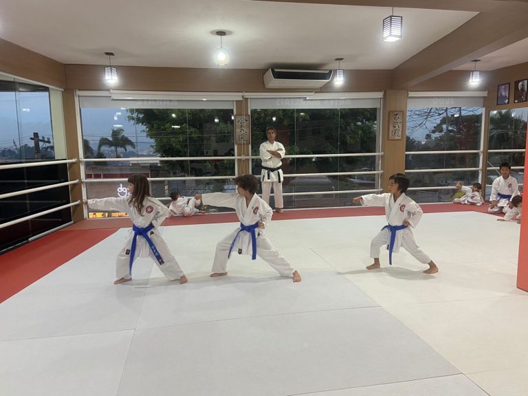 Karate Infantil - Renbukan Brasil - Escola de Artes Marciais Japonesas - Aula de Karate em Cotia - São Paulo - Sensei Roberto Nascimento - robrto Nasci - Aulas em cotia