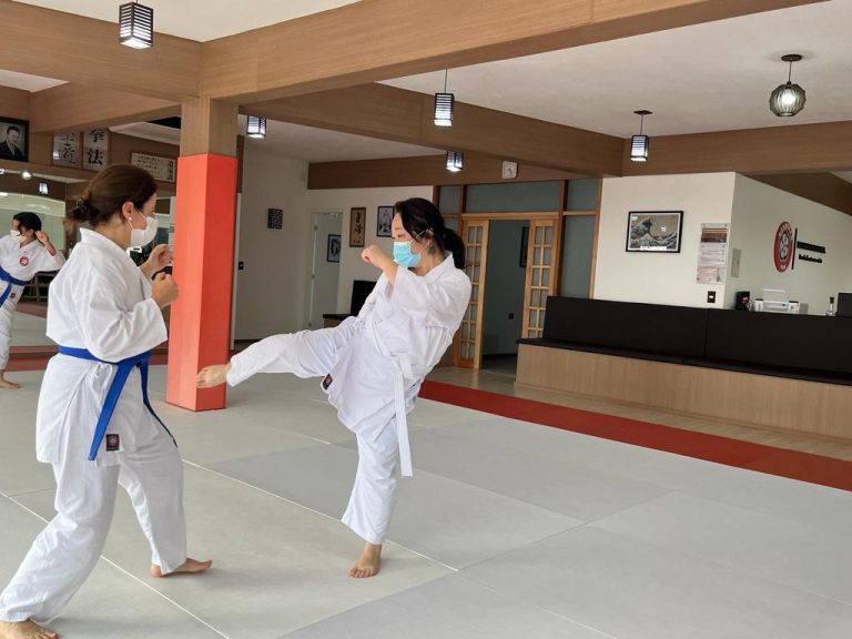 Karate feminino - Sensei Francisco Santiago - Escola Renbukan Brasil - Karate Feminino Cotia - Karate para mulheres (3)