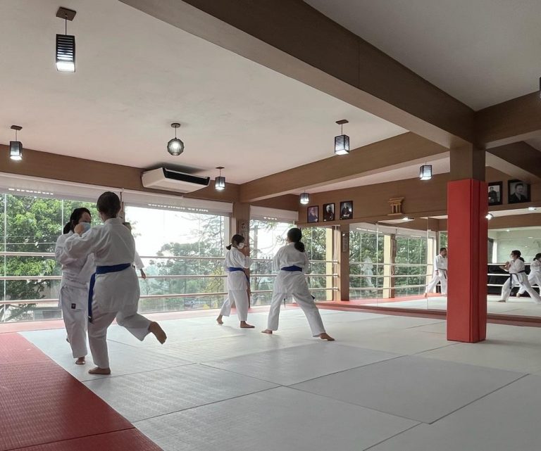 Karate feminino - Sensei Francisco Santiago - Escola Renbukan Brasil - Karate Feminino Cotia - Karate para mulheres