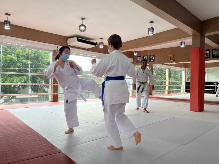 Karate feminino - Sensei Francisco Santiago - Escola Renbukan Brasil - Karate Feminino Cotia - Karate para mulheres