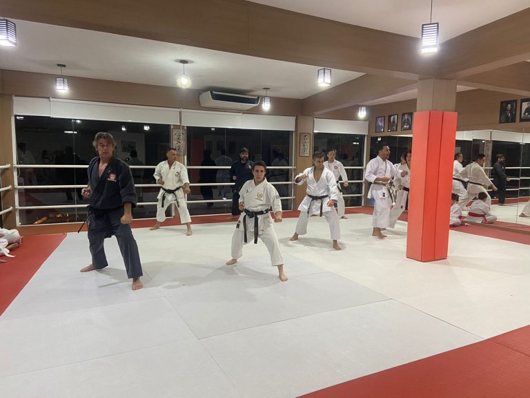 Aula de karate Shotokan - Renbukan Brasil - Escola de artes Marciais - Sensei Francisco Santiago -Cotia - São Paulo - Sensei Barbara Belafronte - Arthur Duarte