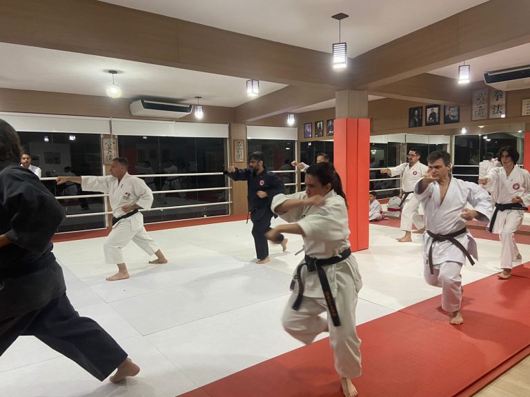 Aula de karate Shotokan - Renbukan Brasil - Escola de artes Marciais - Sensei Francisco Santiago -Cotia - São Paulo 5