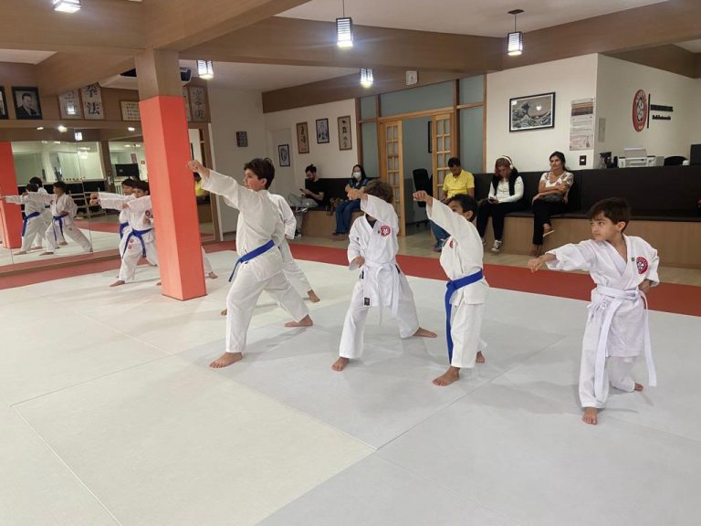 Aula de Karate Infantil - Renbukan Brasil - Cotia - São Paulo - Escola de Artes Marciais Japonesas - Sensei Roberto Nascimento - Beto nasci - (11)