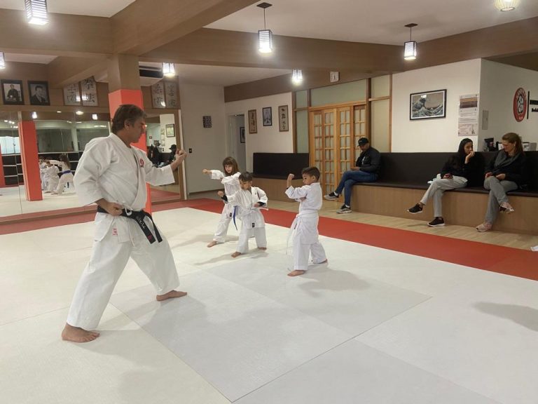 Aula de Karate Infantil - Renbukan Brasil - Cotia - São Paulo - Escola de Artes Marciais Japonesas - Sensei Roberto Nascimento - Beto nasci - (14)