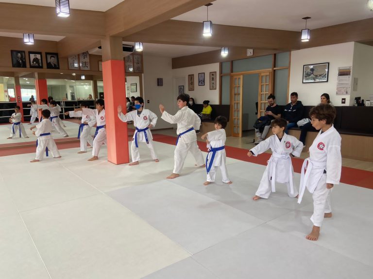Aula de Karate Infantil - Renbukan Brasil - Cotia - São Paulo - Escola de Artes Marciais Japonesas - Sensei Roberto Nascimento - Beto nasci - (16)