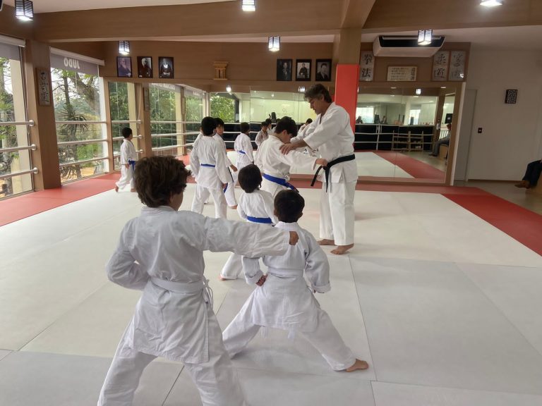 Aula de Karate Infantil - Renbukan Brasil - Cotia - São Paulo - Escola de Artes Marciais Japonesas - Sensei Roberto Nascimento - Beto nasci - (7)