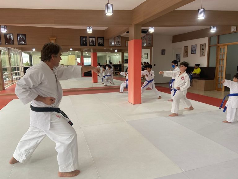 Aula de Karate Infantil - Renbukan Brasil - Cotia - São Paulo - Escola de Artes Marciais Japonesas - Sensei Roberto Nascimento - Beto nasci - (8)