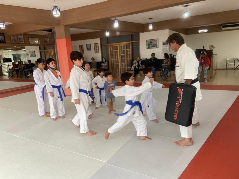 Aula de Karate Infantil - Renbukan Brasil - Escola de Artes Marciais Japonesas - Sensei Roberto Nascimento - Cotia - São Paulo (2)