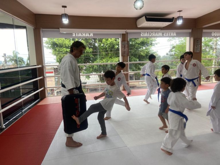 Aula de Karate Infantil - Renbukan Brasil - Escola de Artes Marciais Japonesas - Sensei Roberto Nascimento - Cotia - São Paulo (3)