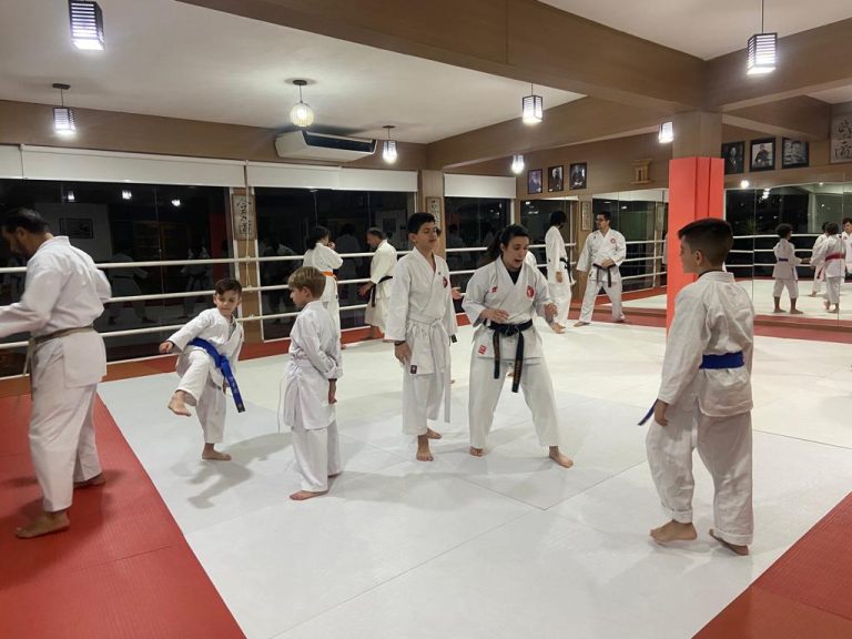 Aula de Karate - Renbukan Brasil - Sensei Francisco Santiago - Barbara Belafronte - Arthur Duarte - Cotia - São Paulo -