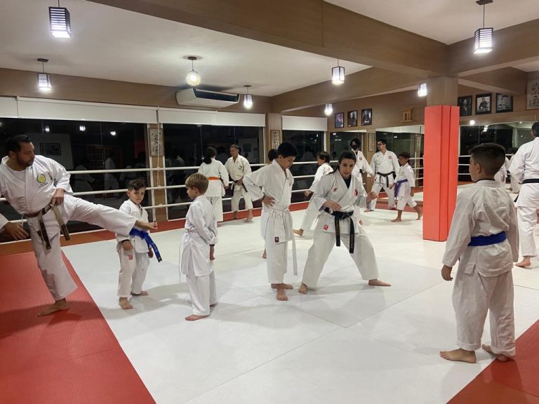 Aula de Karate - Renbukan Brasil - Sensei Francisco Santiago - Cotia - São Paulo - Karateca Arthur Duarte - Barbara Belafronte -