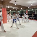 Aula de Karate Shotokan - Cotia - São Paulo - Sensei Francisco Santiago - (2)