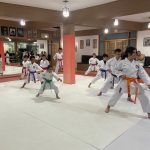 Aula de Karate Shotokan - Cotia - São Paulo - Sensei Francisco Santiago - Fiorella Bonaguro