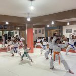 Aula de Karate Shotokan - Cotia - São Paulo - Sensei Francisco Santiago - Fiorella Bonaguro - Yago Seto