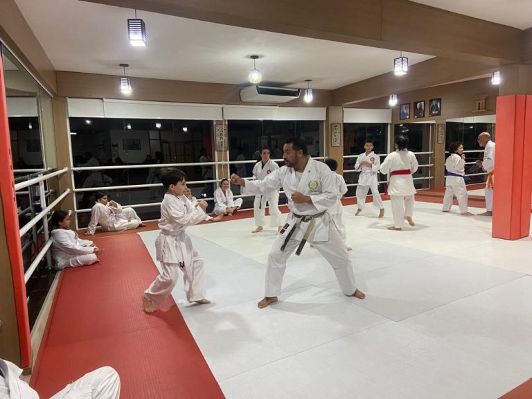 Aula de Karate Shotokan - Escola Renbukan Brasil - Sensei Francisco Santiago (2)