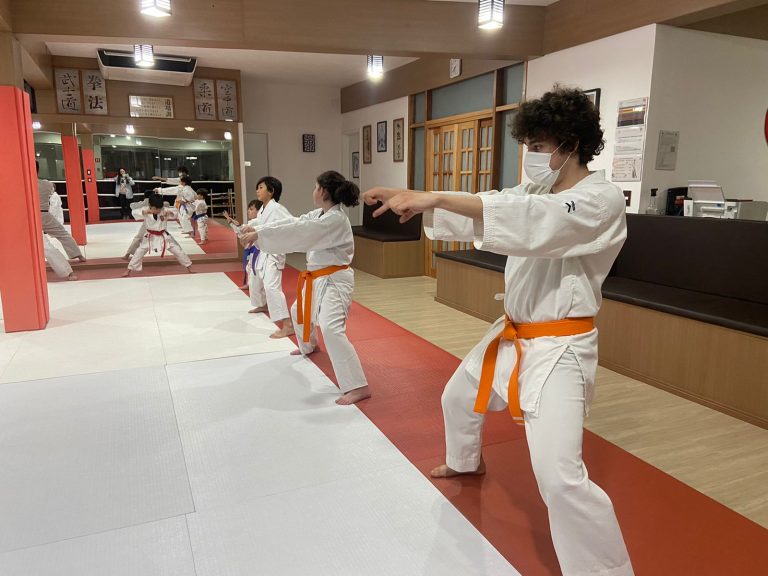 Aula de Karate Shotokan - Escola Renbukan Brasil - Sensei Francisco Santiago - Cotia - São Paulo (2)