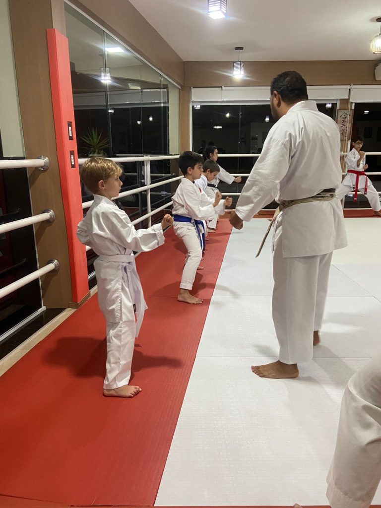 Aula de Karate Shotokan - Escola Renbukan Brasil - Sensei Francisco Santiago - Cotia - São Paulo (6)