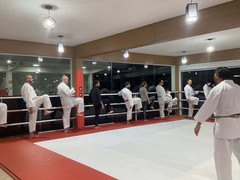 Aula de Karate Shotokan - Escola Renbukan Brasil - Sensei Francisco Santiago - Cotia - São Paulo - Arthur Duarte -